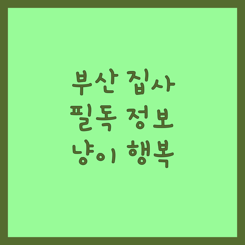 부산 고양이 집사님들 주목! 우리 냥이의 행복을 위한 BEST 선택 가이드 🐾