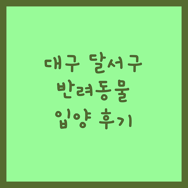 대구 달서구에서 찾은 최고의 반려동물입양 업체 4곳 | 직접 방문 후기 포함