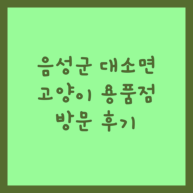 충북 음성군 대소면에서 찾은 소중한 고양이 용품점 1곳 | 직접 방문 후기 포함