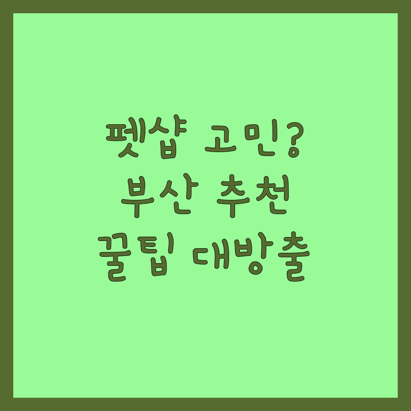 반려동물 고민 해결! 부산 펫샵 추천 | 전문가가 알려주는 선택 팁