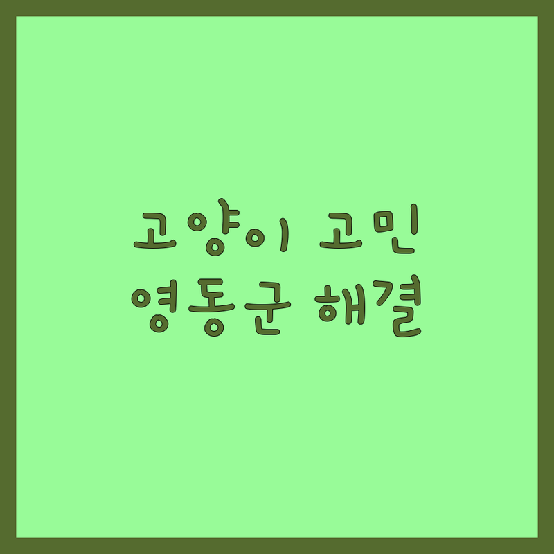 고양이 고민 해결! 충북 영동군 반려동물 솔루션 | 전문가가 알려주는 선택 팁