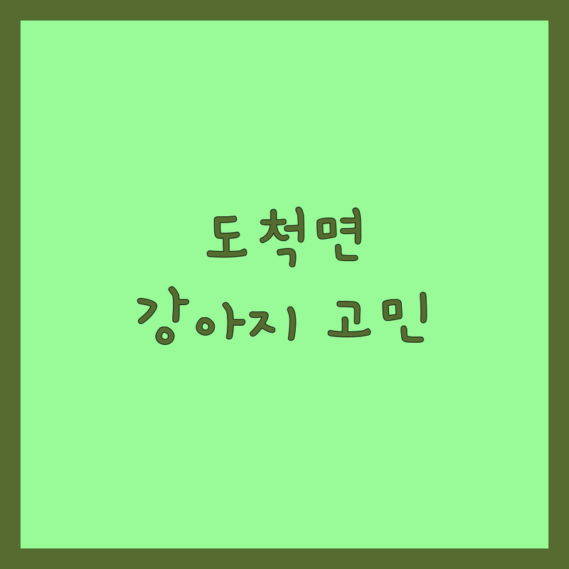 광주시 도척면 강아지 고민 해결! 펫 전문가가 추천하는 BEST 업체