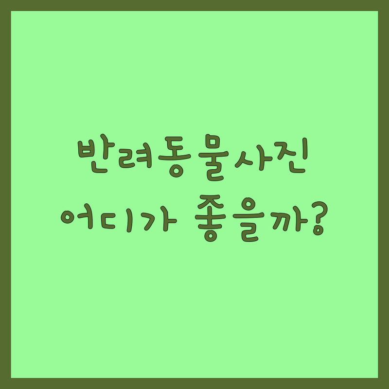 서울 마포구/성북구/용산구 반려동물사진 스튜디오 저렴한 곳 가격싼 곳 업체 추천 | 강아지 고양이 사진 잘 찍는 곳 | 셀프 가족 증명사진 | 주차가능 예약필수 친절한 곳 | 7년차 반려인의 솔직 후기