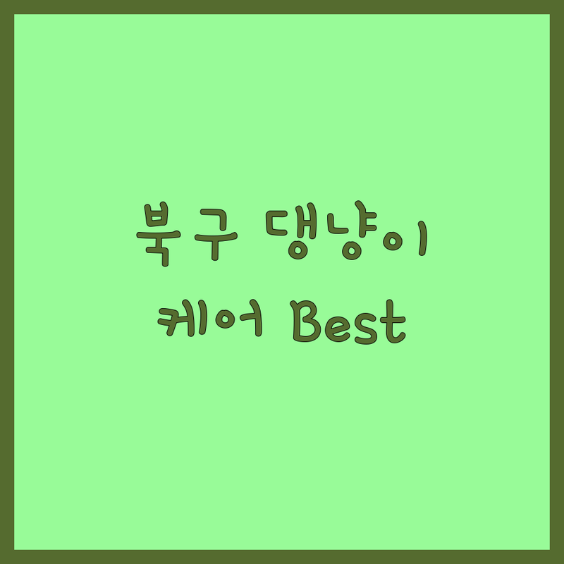 🐶 대구 북구 반려동물 케어 베스트 선택 | 2025년 최신 순위 정리 🐾