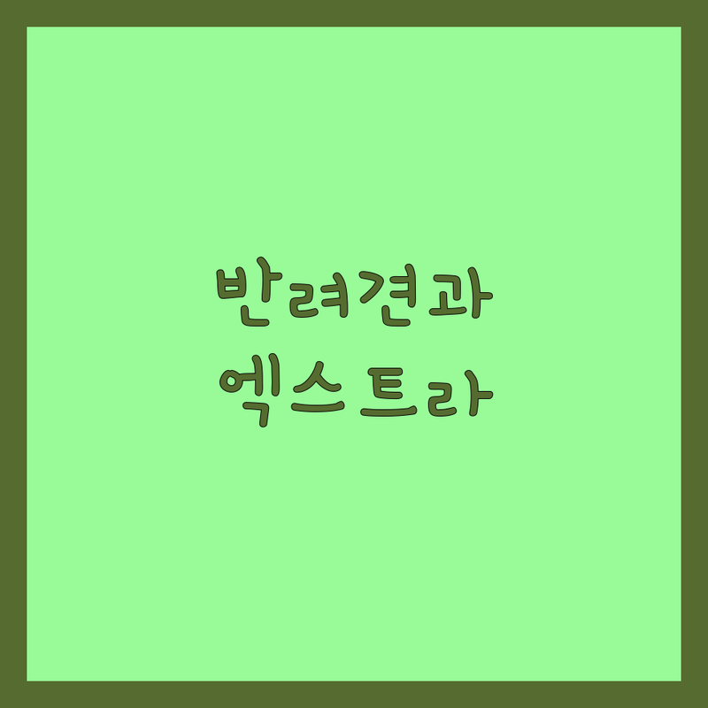 반려동물법 걱정 없는 서울 구로구 디지털로32가길 엑스트라마일 가이드 | 상황별 최적의 선택법