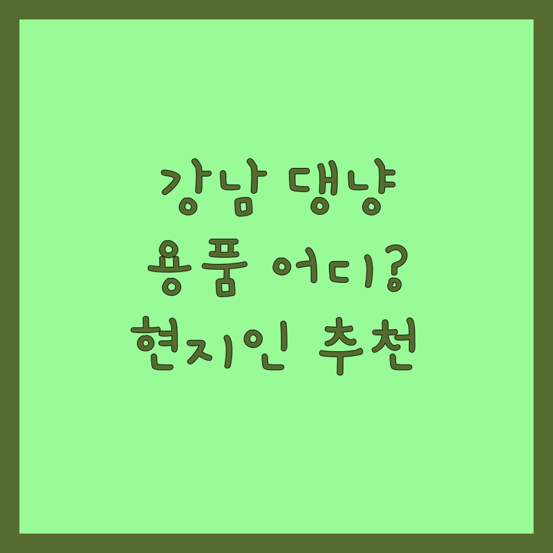 서울 강남구에서 반려동물용품 어디로 갈까? 반려동물용품추천 고민 해결! | 현지인 추천 TOP3