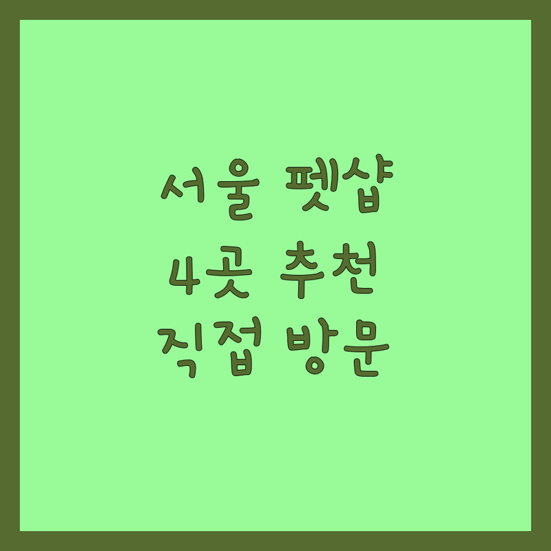 서울에서 찾은 우리 아이에게 딱 맞는 반려동물용품점 4곳 | 직접 방문 후기 포함