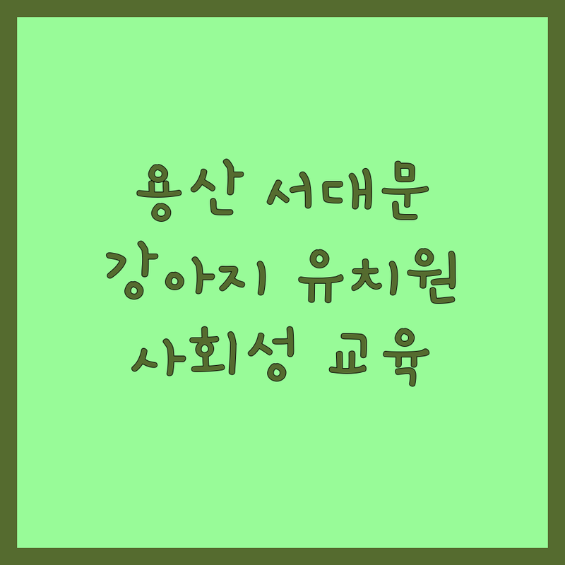 서울 용산 서대문 중구 반려동물유치원 저렴한 곳 가격싼 곳 업체 추천 | 강아지유치원 비용 가격 잘하는 곳 | 데이케어 호텔링 방문교육 미용 | 사회성교육 분리불안 완화 놀이 | 소수정예 실내외운동장