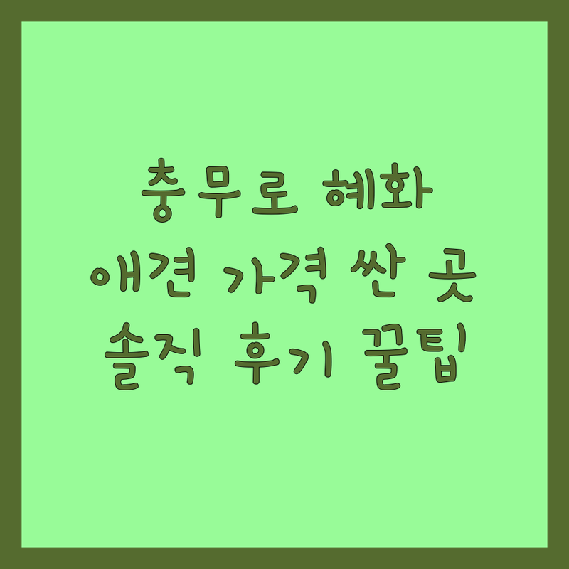 충무로역 혜화역 애견미용 애견카페 애견용품 저렴한 곳 가격싼 곳 업체 추천 | 반려동물 비용 가격 잘하는 곳 | 미용 교육 용품 카페 | 애견미용사 자격증 간식 주차 | 솔직 후기 노하우 방문팁