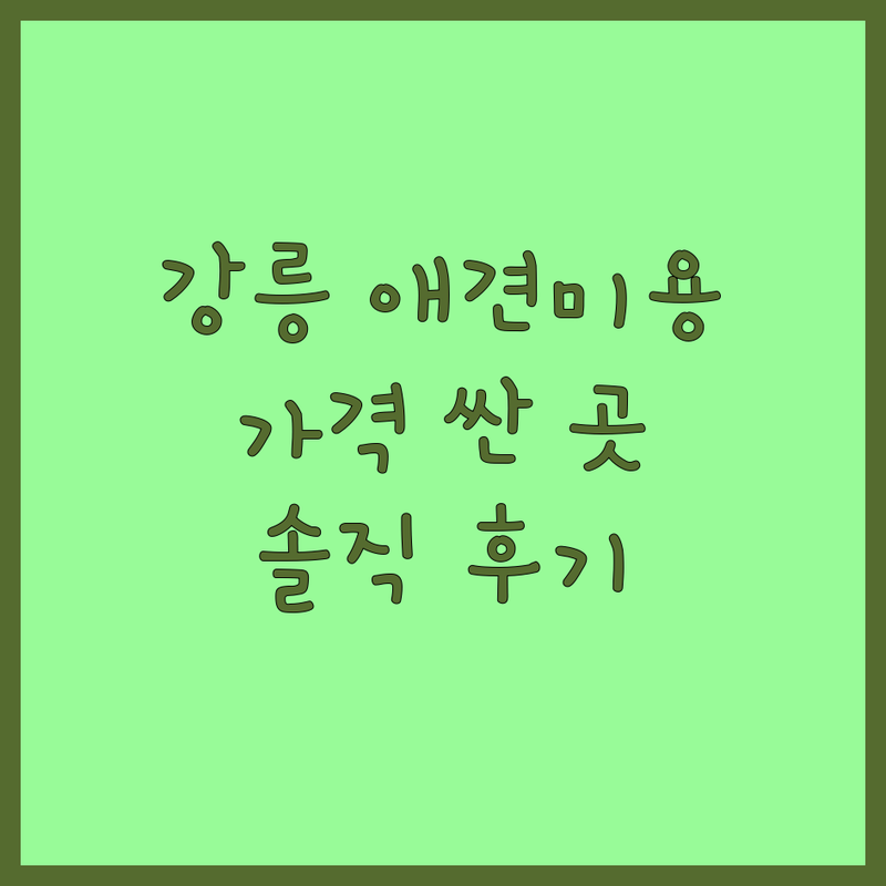강릉 반려견 미용 저렴한 곳 가격싼 곳 업체 추천 | 강아지 미용 비용 가격 잘하는 곳 | 애견미용 애견훈련 애견호텔 | 탄산스파 가위컷 드라이룸 | 강아지 피부병 관리 노하우 솔직 후기