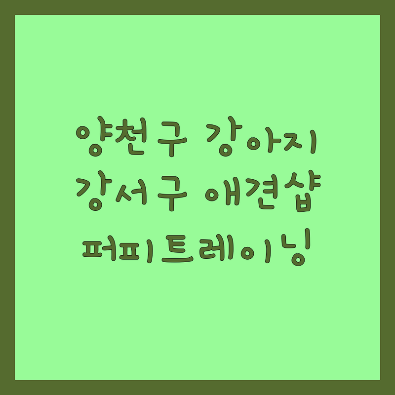 서울 양천구 강서구 반려견 강아지분양 유치원 추천 | 애견샵 애견호텔 잘하는 곳 | 퍼피트레이닝 사회화 교육 비용 | 주차 가능한 곳