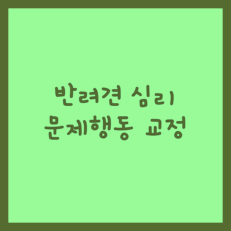 양주 함양 구리 성동구 반려동물심리 저렴한 곳 가격싼 곳 업체 추천 | 반려견 행동교정 비용 가격 잘하는 곳 | 펫로스 심리상담 어질리티 퍼피트레이닝 | 문제행동 분리불안 짖음 공격성 전문가 | 반려견 훈련소 교육 프로그램