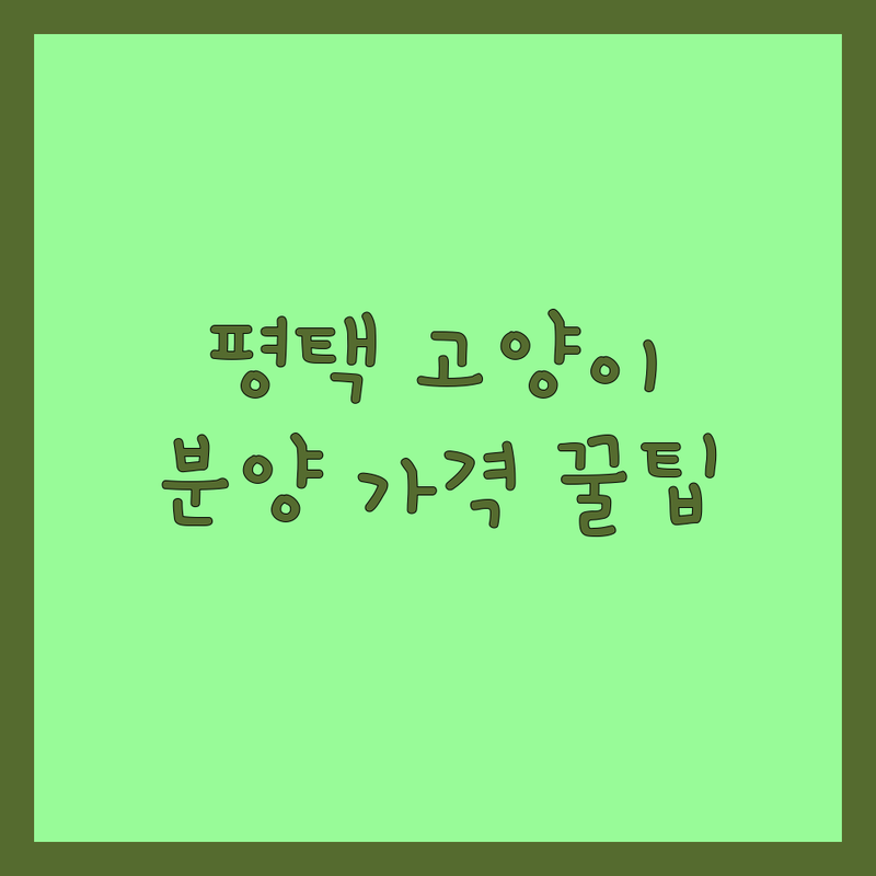 평택 고양이분양 입양 저렴한곳 가격싼곳 업체 추천 | 평택고양이분양비용 가격 잘하는곳 | 고양이무료분양 메인쿤 브리티쉬골드 수입분양 | 고양이피부병 사료고르는법 유기묘보호소 | 반려묘 필수정보 솔직후기