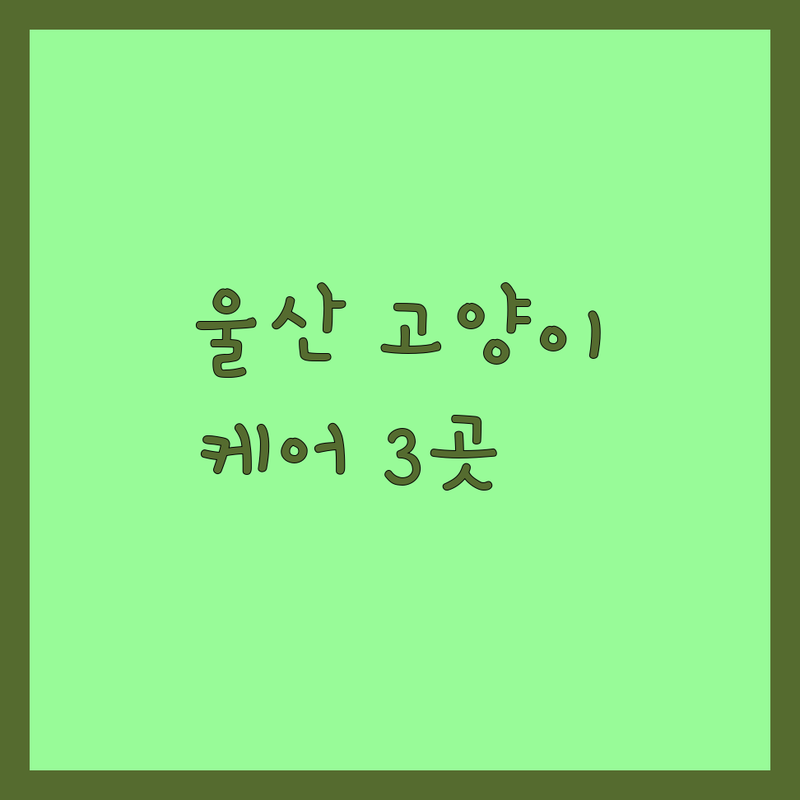 울산에서 찾은 만족스러운 고양이 케어 3곳 | 직접 방문 후기 포함