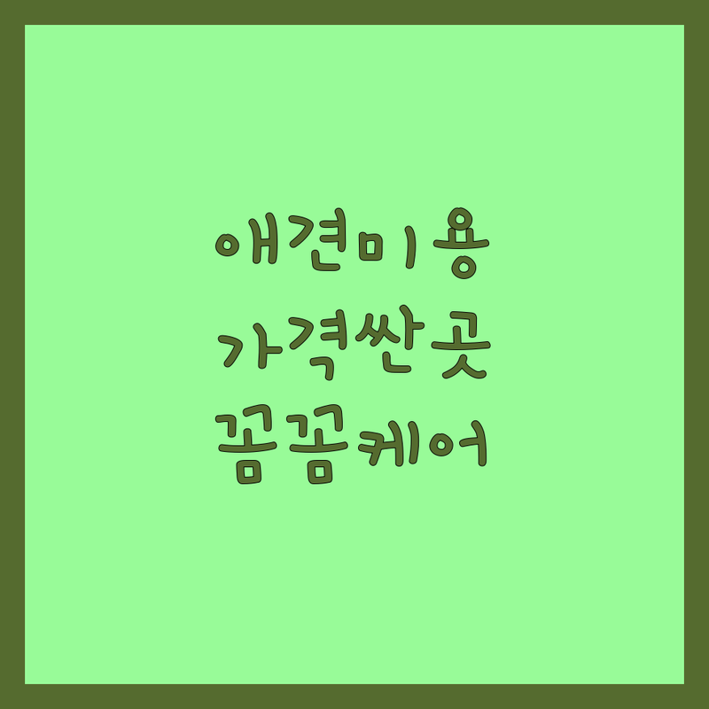 서울 반려동물미용 저렴한 곳 가격싼 곳 업체 추천 | 애견미용 비용 가격 잘하는 곳 | 가위컷 스포팅 목욕 탄산스파 | 꼼꼼한케어 친절한미용 스트레스없는 | 예약필수 주차가능 당일예약