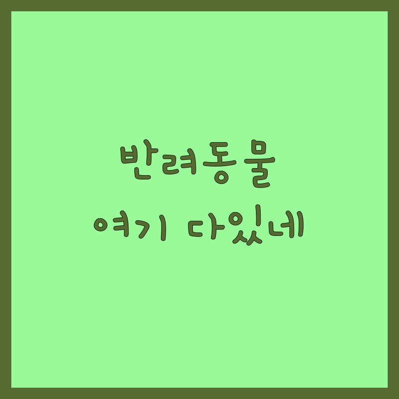 여주 이천 반려동물 동반 카페 맛집 저렴한 곳 추천 | 강아지 고양이 애견 동반 식당 | 가성비 좋은 주차 편리 분위기 좋은 힐링 데이트코스