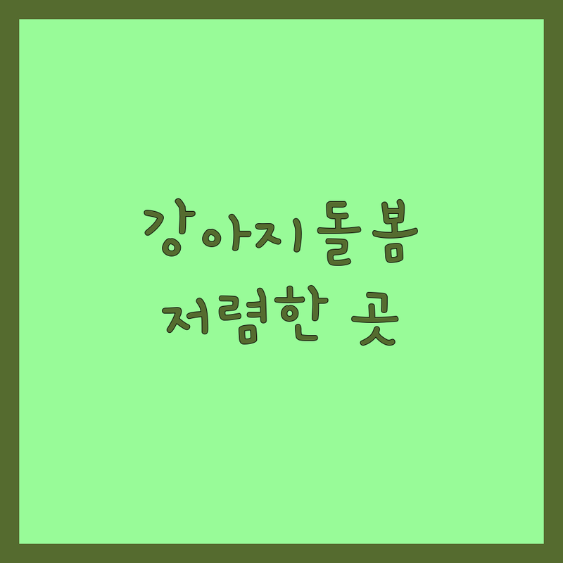 서울 중구 강아지 돌봄 저렴한 곳 가격싼 곳 업체 추천 | 반려동물 관리 비용 가격 잘하는 곳 | 유기견 보호소 입양 센터 | 반려견 교육 훈련 | 반려동물 보험 상담