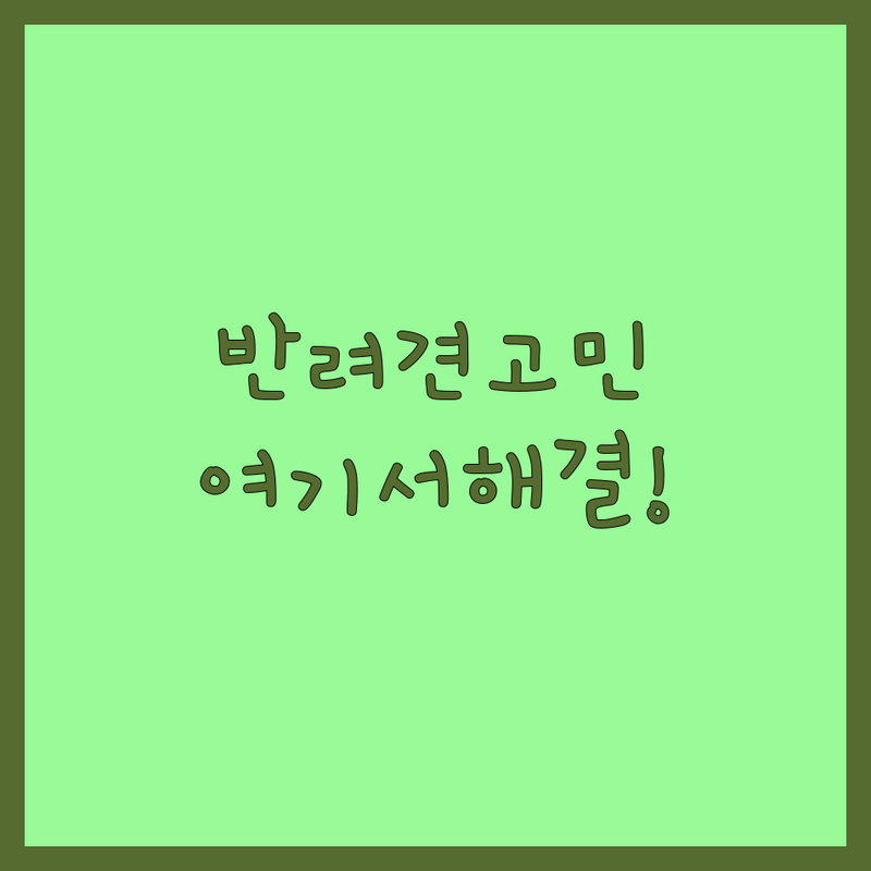 마산회원구 반려동물행동 전문가 추천 | 애견용품 애견미용 특수동물분양 잘하는 곳 | 비용 가격 솔직 후기 | 반려동물행동교정 상담 용품 호텔 분양 | 친절한 곳 방문 후기