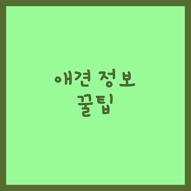 서울 애견카페 용품 미용 저렴한 곳 가격싼 곳 업체 추천 | 반려동물 서비스 비용 가격 잘하는 곳 | 이색동물 미용용품 보호소 | 반려견 반려묘 입양 케어 | 강아지 고양이