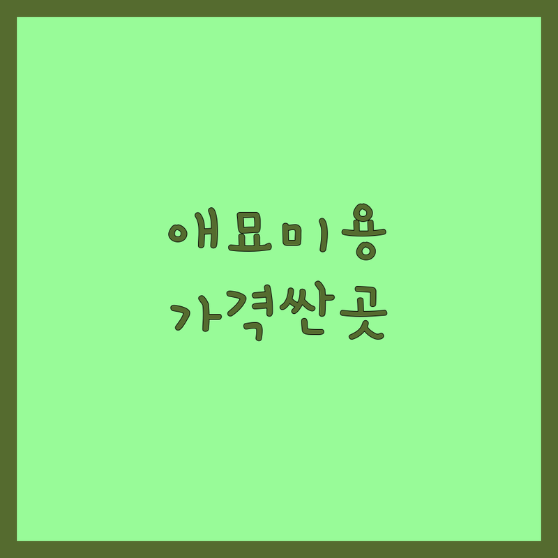 서울 경산 애묘미용 저렴한 곳 가격싼 곳 업체 추천 | 고양이 미용 비용 가격 잘하는 곳 | 무마취 미용 스파 호텔 | 애견용품 방문상담 | 솔직 후기 노하우