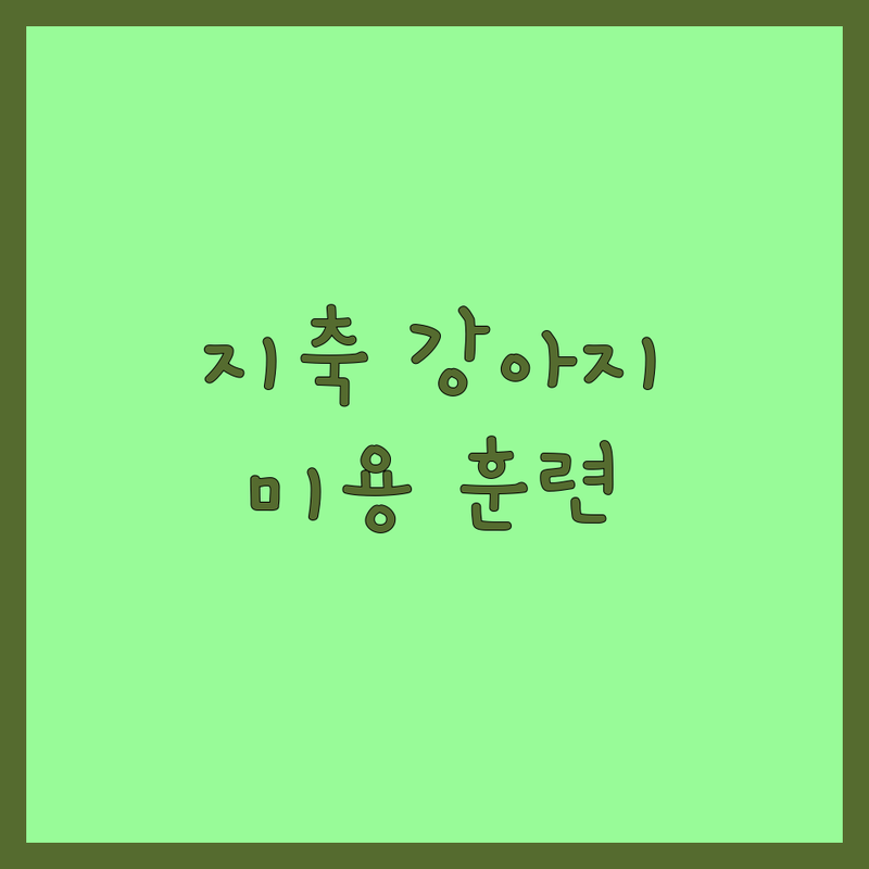 고양시 덕양구 지축동 강아지 미용 훈련 저렴한곳 가격싼곳 업체 추천 | 반려견 미용 훈련 용품 비용 가격 잘하는곳 | 강아지 미용 스파 유치원 호텔 훈련 | 예약제 1대1케어 천연제품 노견미용 | 주차가능 친절한 애견샵 전문가 상담 후기