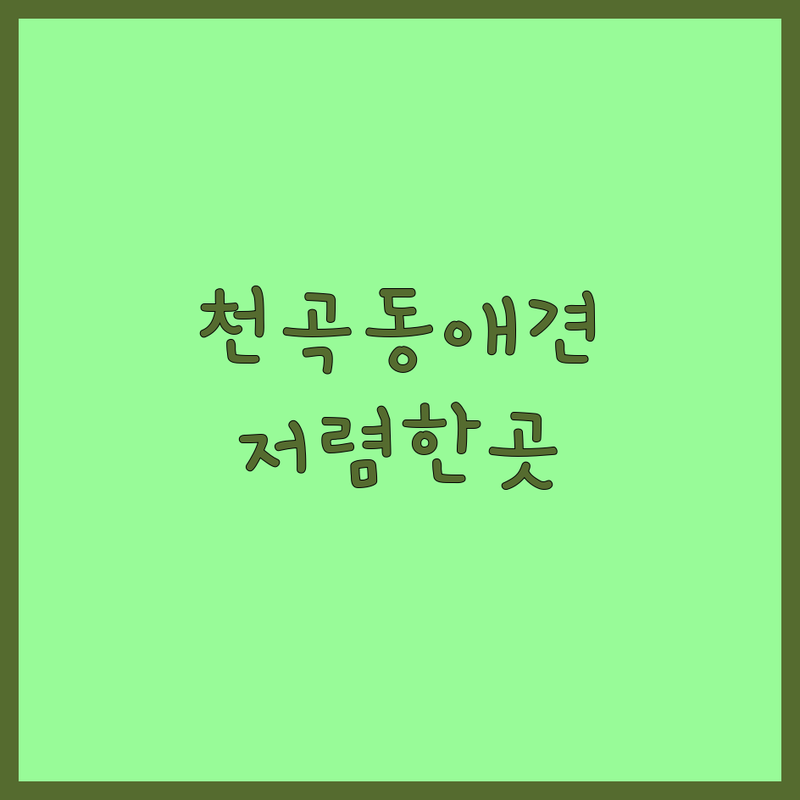 강원 동해시 천곡동 반려동물 미용 저렴한 곳 가격싼 곳 업체 추천 | 강아지 고양이 애견미용 비용 가격 잘하는 곳 | 무마취미용 호텔 유치원 놀이방 | 맞춤케어 위생 친절 꼼꼼 | 예약제 노쇼방지 방문상담