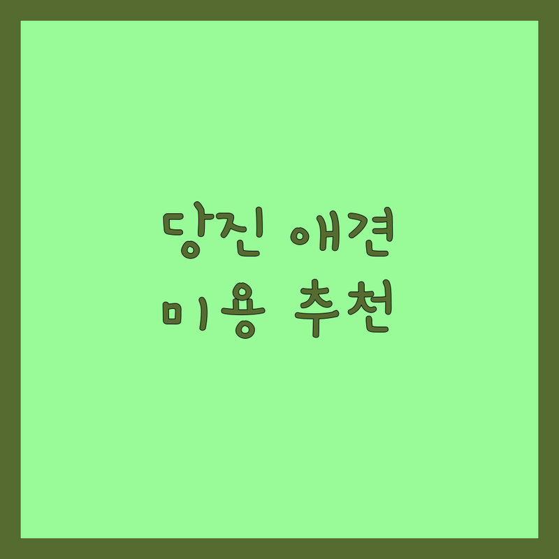 당진시 애견미용 잘하는 곳 베스트 선택 | 2024-2025 최신 순위 정리