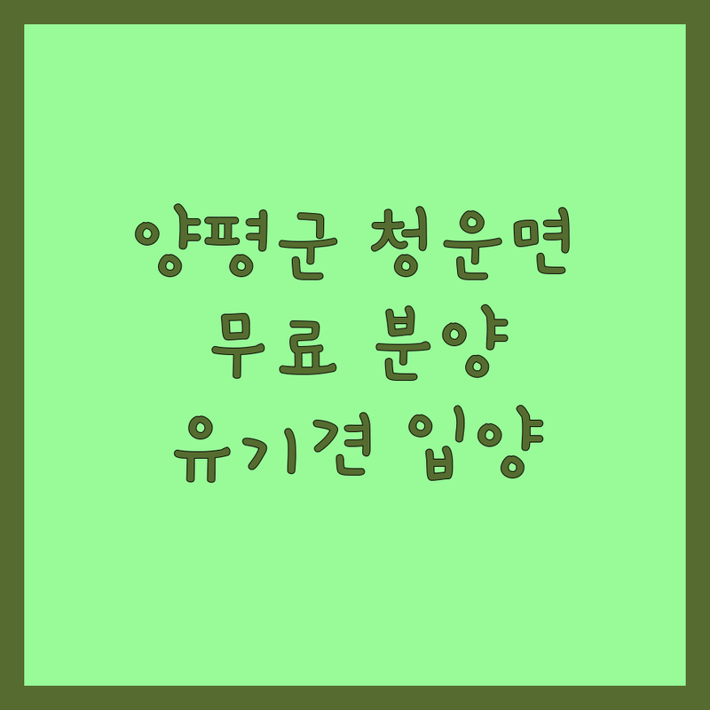 양평군 청운면 반려동물 보호소 무료분양 입양센터 업체 추천 | 유기견 유기묘 입양 비용 잘하는 곳 | 보호 분양 구조 요양 | 24시 안락사 없는 동물 쉼터 | 가정견 분양 파양 상담