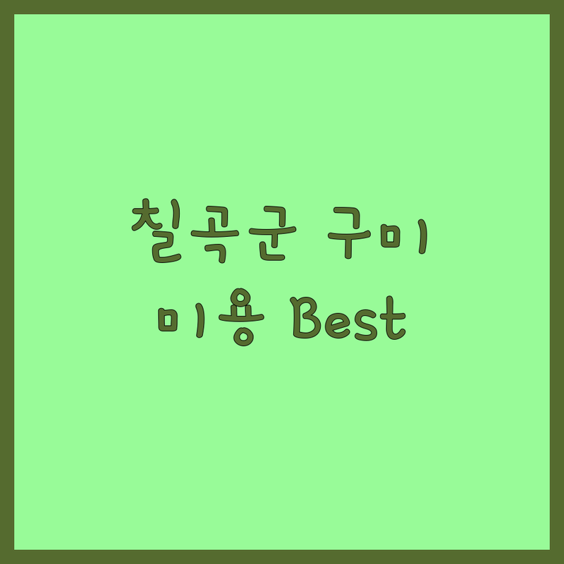 경북 칠곡군 구미시 반려동물미용 베스트 선택 | 2025년 최신 정보 총정리