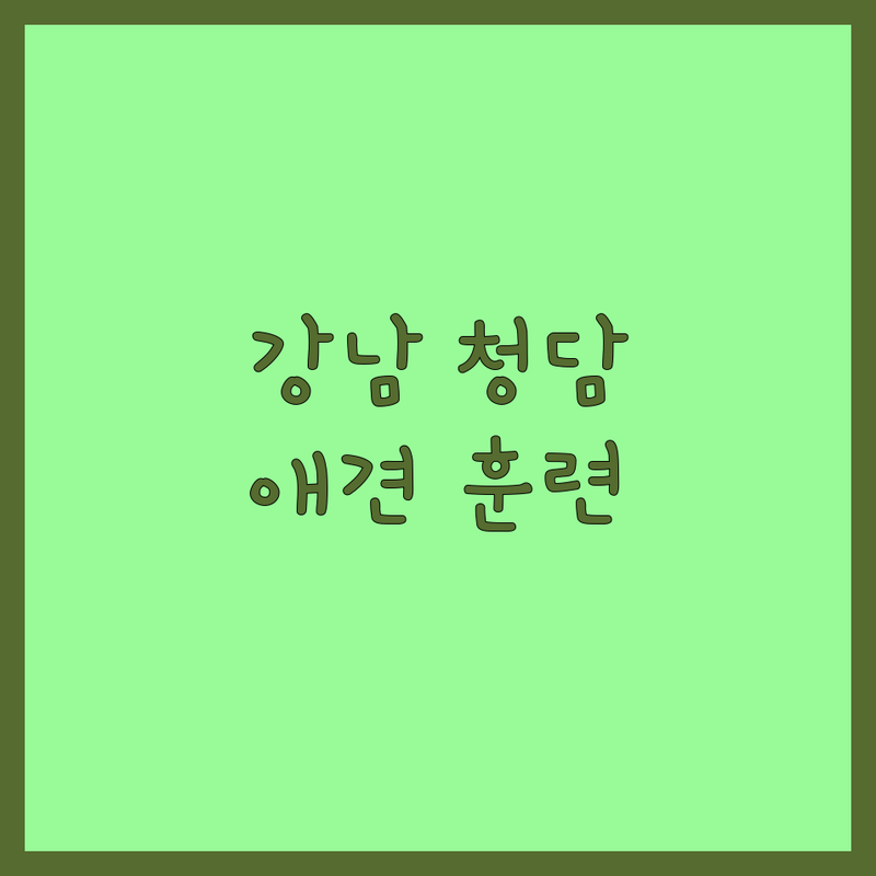 서울 용산구 한남동 강남구 청담동 마포구 서교동 반려동물교육 | 애견훈련 강아지교육 비용 가격 잘하는 곳 | 1:1 맞춤 행동교정 사회화 | 퍼피클래스 방문교육 유치원 호텔 | 솔직 후기 비교 추천