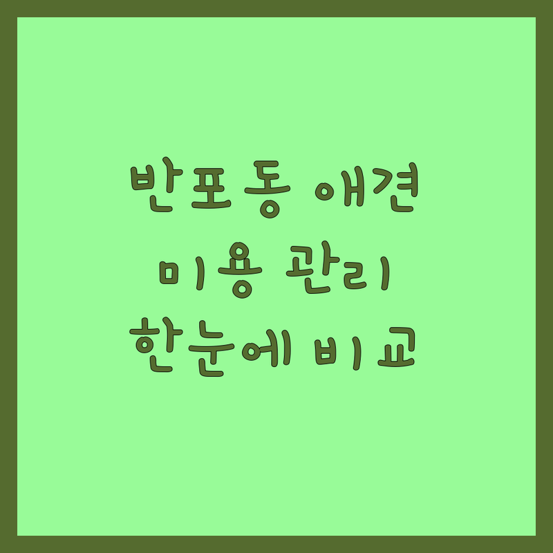 서울 서초구 반포동 반려동물미용 반려동물관리 한눈에 비교 | 2025년 최신 정보 총정리