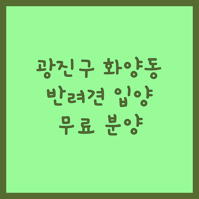 광진구 화양동 반려동물입양 저렴한 곳 가격싼 곳 업체 추천 | 반려동물 비용 가격 잘하는 곳 | 강아지 고양이 토끼 거북 유기견 입양 | 무료분양 책임비용 소통 | 반려가족 찾기 행복 입양 후기