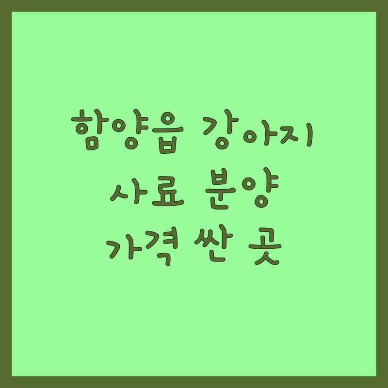 함양읍 강아지 사료 분양 미용 저렴한 곳 가격싼 곳 업체 추천 | 강아지 용품 애견미용 애견분양 비용 가격 잘하는 곳 | 펫샵 훈련소 호텔 유치원 | 친절한 애견용품점 깔끔한 시설 주차편한곳 | 반려동물 상담 후기 좋은 곳