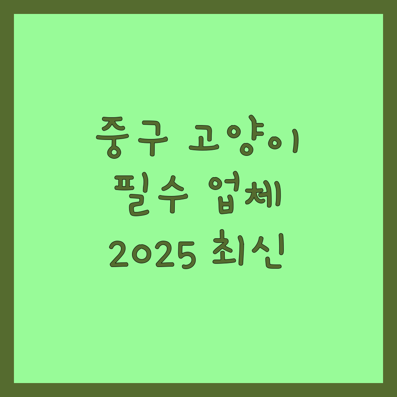 서울 중구에서 찾은 우리 고양이의 행복을 위한 베스트 업체 | 2025년 최신 정보 총정리