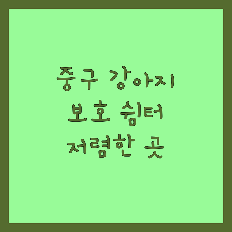 서울 중구 강아지 보호소 가격싼 곳 업체 추천 | 유기견 유기묘 쉼터 입양 잘하는 곳 | 반려동물 요양원 파양 상담 | 24시 보호센터 무료분양 | 반려동물 호텔 미용 탁묘