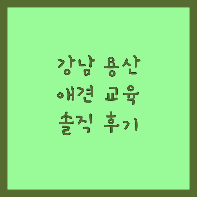 서울 강남 용산 서초 반려동물교육 잘하는 곳 업체 추천 | 강아지훈련 비용 가격 방문교육 유치원 | 문제행동 사회화 퍼피클래스 | 애견호텔 미용 데이케어 | 솔직 후기 상담 예약