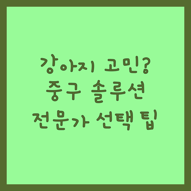 강아지 고민 해결! 서울 중구 반려동물 솔루션 | 전문가가 알려주는 선택 팁