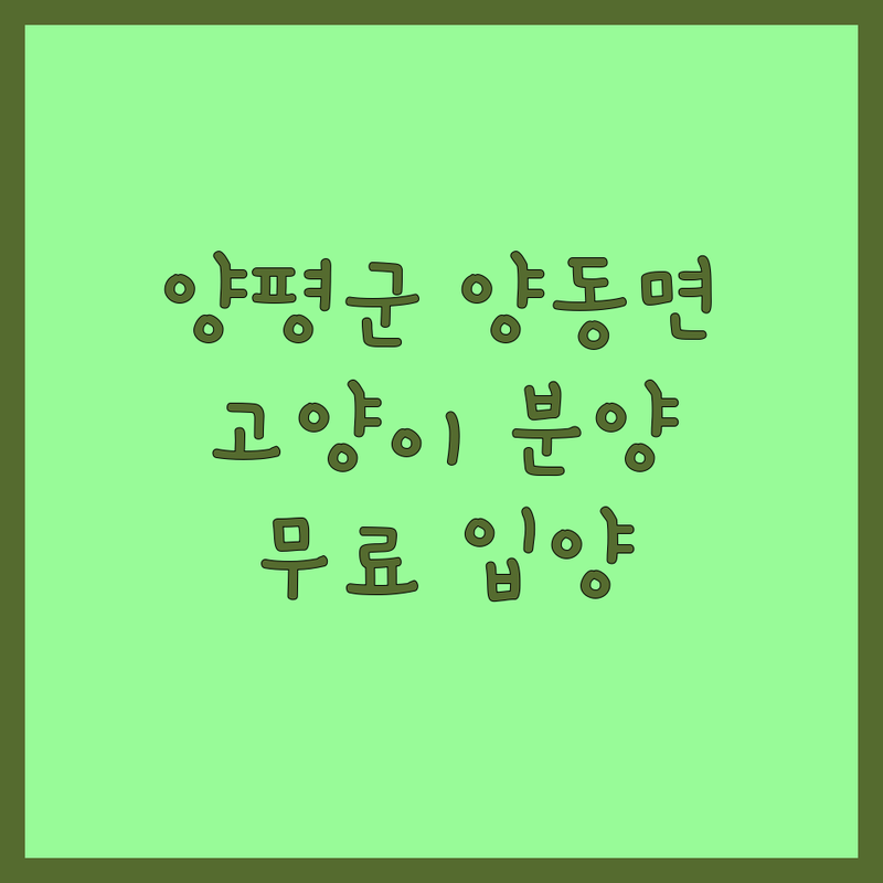 양평군 양동면 고양이 무료분양 입양 | 유기묘 보호소 비용 가격 | 반려동물 장례 화장 | 유기견 쉼터 요양원 | 안락사 없는 보호소