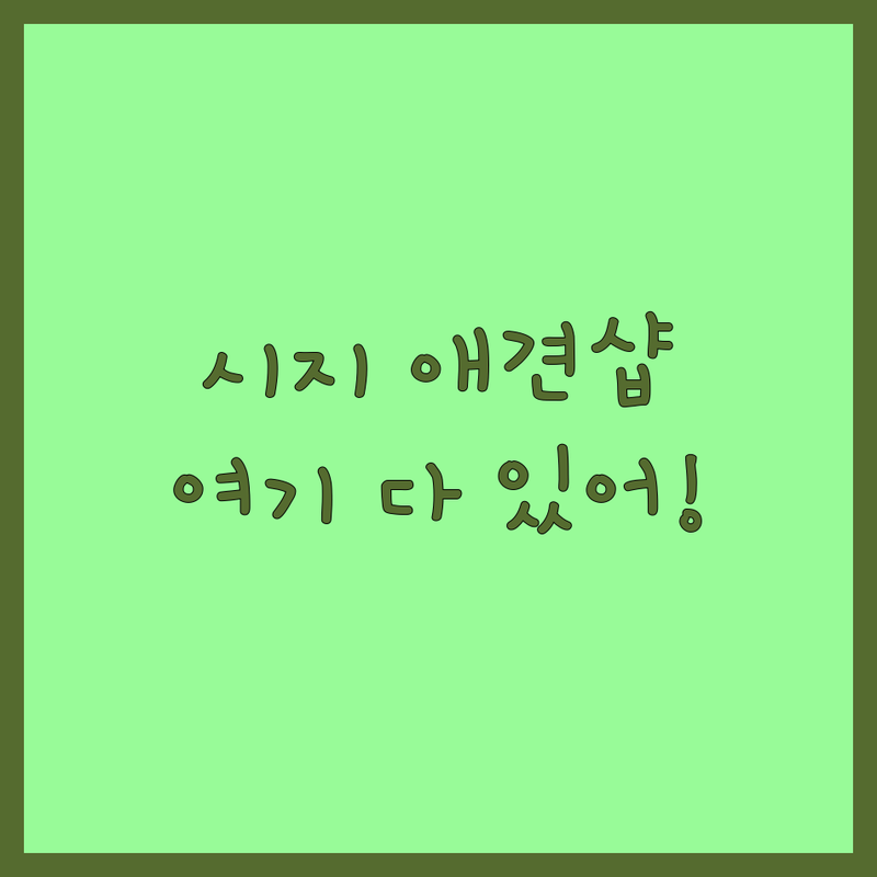 대구 수성구 시지동 노변동 대흥동 애완동물샵 추천 | 파충류샵 애견미용 애견유치원 호텔 비용 가격 잘하는 곳 | 크레스티드게코 도마뱀 분양 애견미용 호텔링 | 반려동물 동반 주차 편한 곳 | 애프터케어 방문자 리뷰