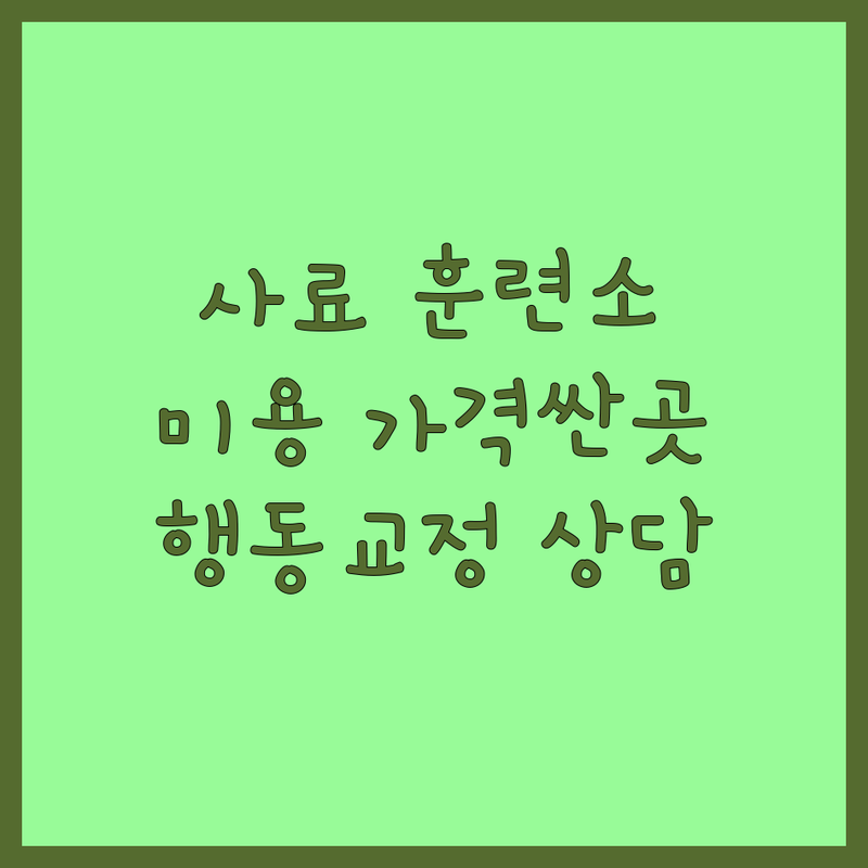 함양군 안의면 강아지 사료 훈련소 미용 저렴한 곳/가격싼 곳 업체 추천 | 반려견 용품 비용/가격 잘하는 곳 | 강아지 행동 교정 입양 상담 | 유기견 보호소 방문 후기 | 건강 관리 팁