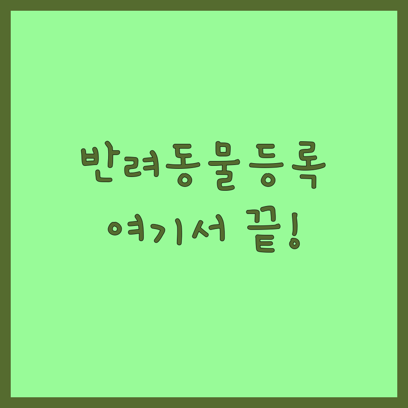 서울 영등포구 신길동 반려동물등록 저렴한 곳 업체 추천 | 동물병원 사진관 등록대행 비용 가격 잘하는 곳 | 내장칩 외장칩 인식표 전자등록증 발급 | 유기동물 방지 분실 방지 | 필수 서류 준비물 절차 후기