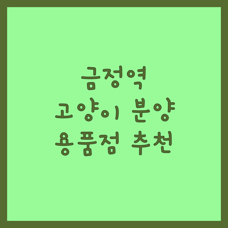 군포시 금정역 고양이카페 용품점 추천 | 고양이분양 입양 비용 잘하는 곳 | 고양이호텔 자동화장실 하우스 | 반려묘 사료 간식 장난감 상담