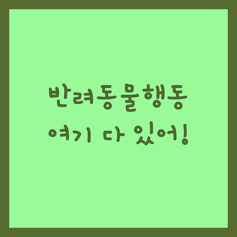 나주 광주 반려동물행동 저렴한 곳 가격싼 곳 업체 추천 | 반려동물 행동 교정 비용 가격 잘하는 곳 | 강아지 고양이 분양 입양 보호소 | 유기동물 파양 구조 | 반려견 문제행동 훈련
