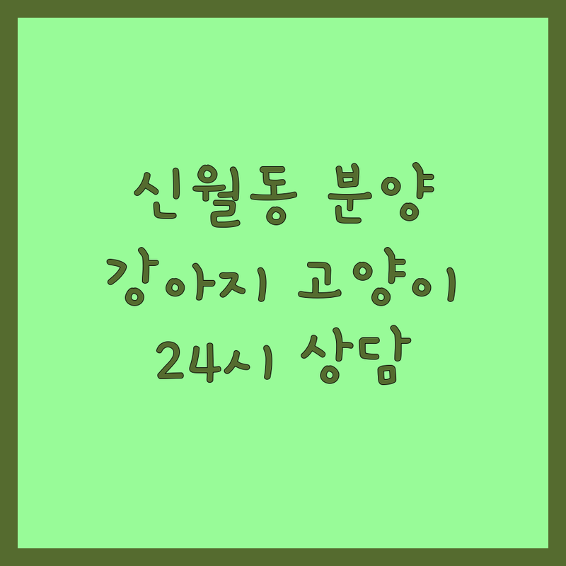 서울 양천구 신월동 반려동물분양 저렴한 곳 업체 추천 | 강아지 고양이 무료분양 책임분양 입양 잘하는 곳 | 가정견 유기견 유기묘 분양 | 애견샵 분양가 비교 비용 상담 | 24시 방문상담