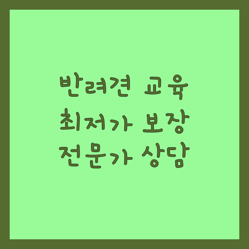 서울 용산 강남 마포 반려동물교육 저렴한 곳 가격싼 곳 업체 추천 | 강아지훈련 비용 가격 잘하는 곳 | 애견유치원 방문교육 문제행동교정 | 반려견사회화 긍정강화훈련 분리불안 짖음 배변훈련 | 1:1맞춤교육 전문가상담 펫티켓