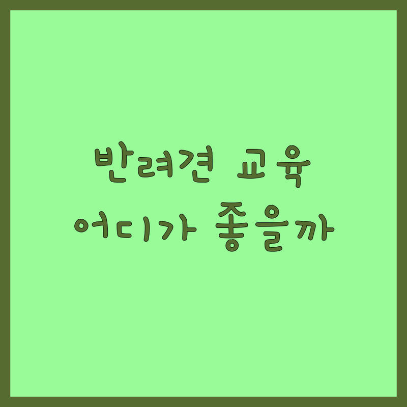 서울 반려동물교육 저렴한 곳 가격싼 곳 업체 추천 | 강아지 교육 비용 가격 잘하는 곳 | 반려견 훈련 문제행정 교정 사회화 | 펫 유치원 호텔 방문훈련 그룹훈련 | 전문가 상담 맞춤형 교육