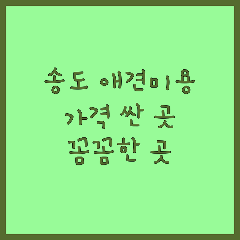 인천 송도동 반려동물미용 저렴한 곳 가격싼 곳 업체 추천 | 애견미용 비용 가격 잘하는 곳 | 강아지미용 고양이미용 스트레스없는 | 친절한 꼼꼼한 예약제 전문샵 | 솔직후기 비교 팁