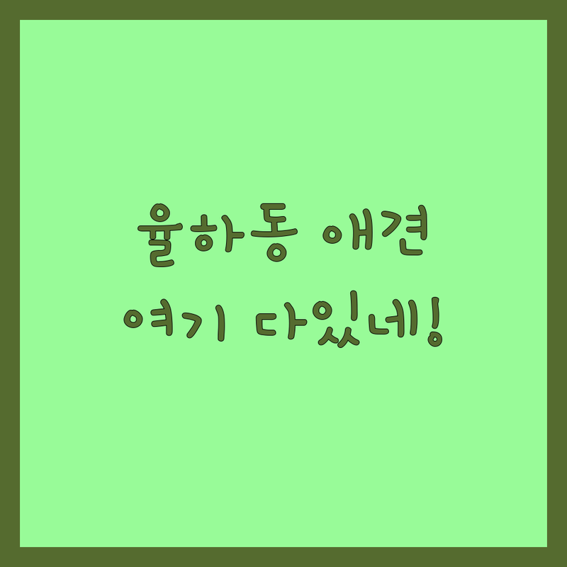 대구 동구 율하동 반려견 분양 미용 저렴한 곳 가격싼 곳 업체 추천 | 강아지 입양 비용 가격 잘하는 곳 | 말티즈 푸들 비숑 가위컷 스파 | 반려동물 용품 호텔 | 반려인 솔직 후기
