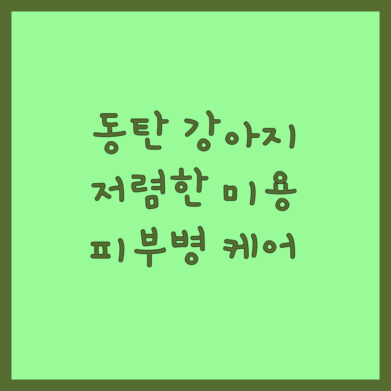 화성시 동탄 강아지 미용 저렴한 곳 가격싼 곳 업체 추천 | 애견미용 비용 가격 잘하는 곳 | 강아지 피부병 사료 목욕 스파 가위컷 | 애견호텔 용품 원데이 클래스