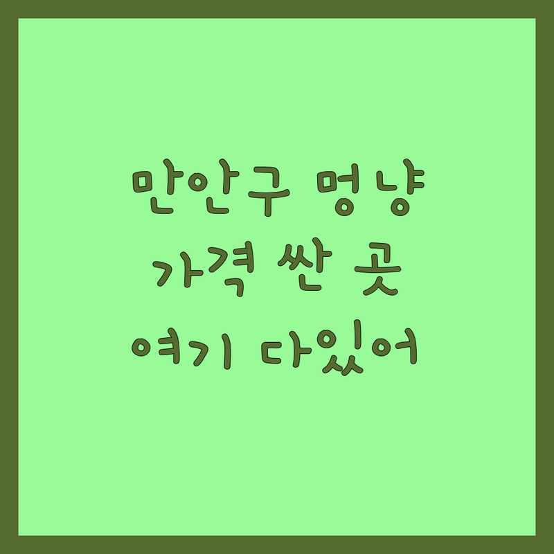 안양시 만안구 반려동물친화 저렴한 곳 가격싼 곳 업체 추천 | 반려동물미용 동물병원 비용 가격 잘하는 곳 | 무마취미용 고양이친화병원 노령견전문 | 1대1맞춤미용 건강검진 | 주차가능 예약필수